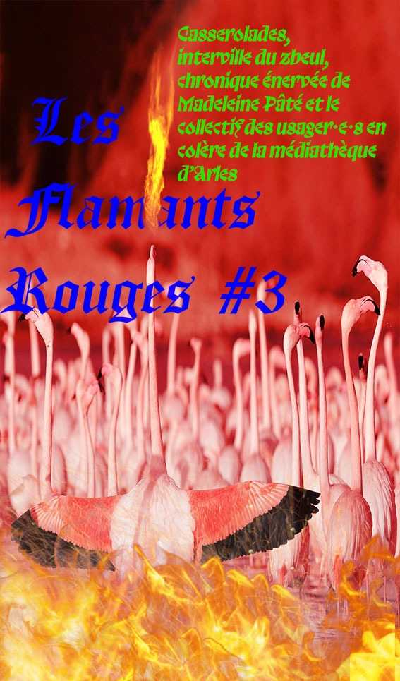 Flamants Rouges # 3 – Zbeul à Arles, médiathèque et services publics