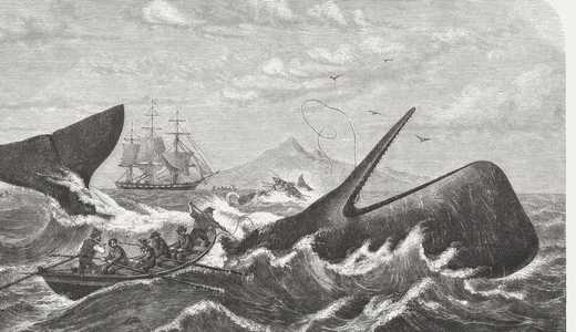 Le Souffle Argenté -Moby Dick- [adaptation sonore]
